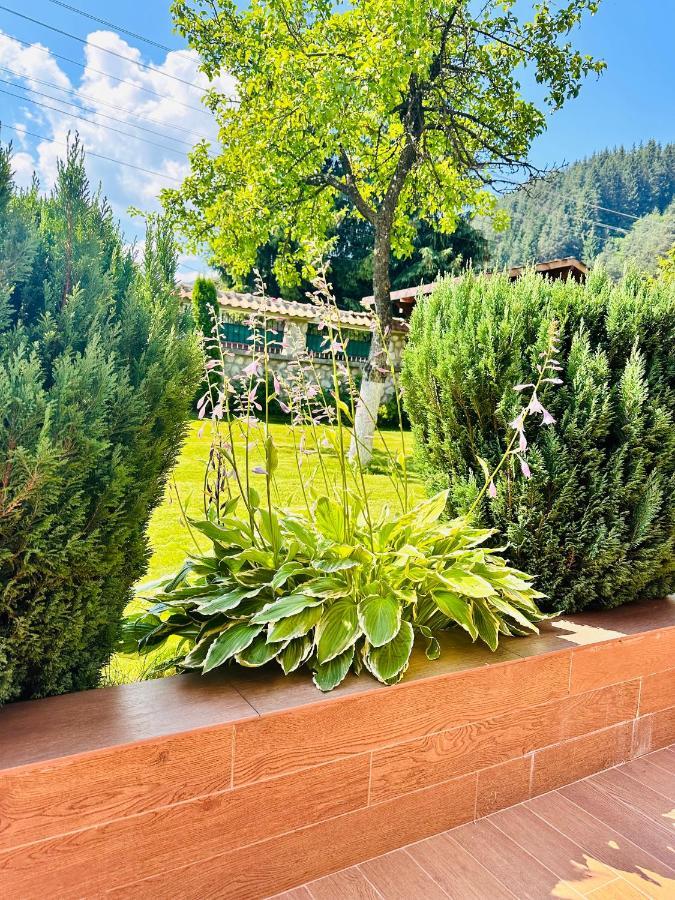 Villa Rila Garden Бели-Искыр Экстерьер фото
